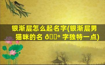 银渐层怎么起名字(银渐层男猫咪的名 🐺 字独特一点)